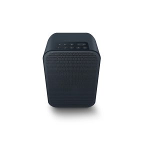   Bluesound PULSE FLEX 2i hordozható, vezeték nélküli hangszóró, fekete