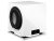 Dali SUB P-10 DSS WHITE GLOSS Aktív mélysugárzó - subwoofer