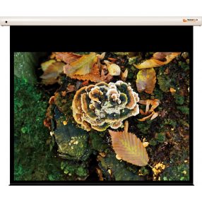 Funscreen Premium Plus SB Motor 133x180 cm Vetítővászon