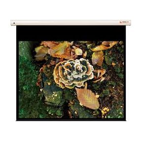 Funscreen Premium Plus SB Motor 157x213 cm Vetítővászon