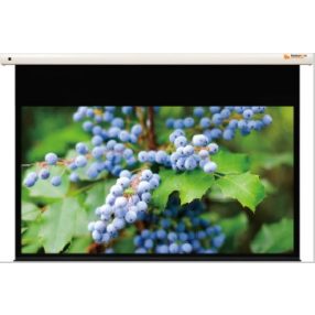 Funscreen Premium Plus SA Motor 269x410cm vetítővászon